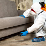 An exterminator in work clothes sprays pesticides with a spray gun. Fight against insects in apartments and houses. Disinsection of the premises